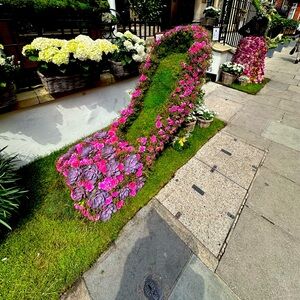 Meet your Posher, Noele